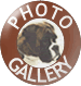 Photo Gallery at Winuwuk Boxers