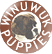 Winuwuk Puppies